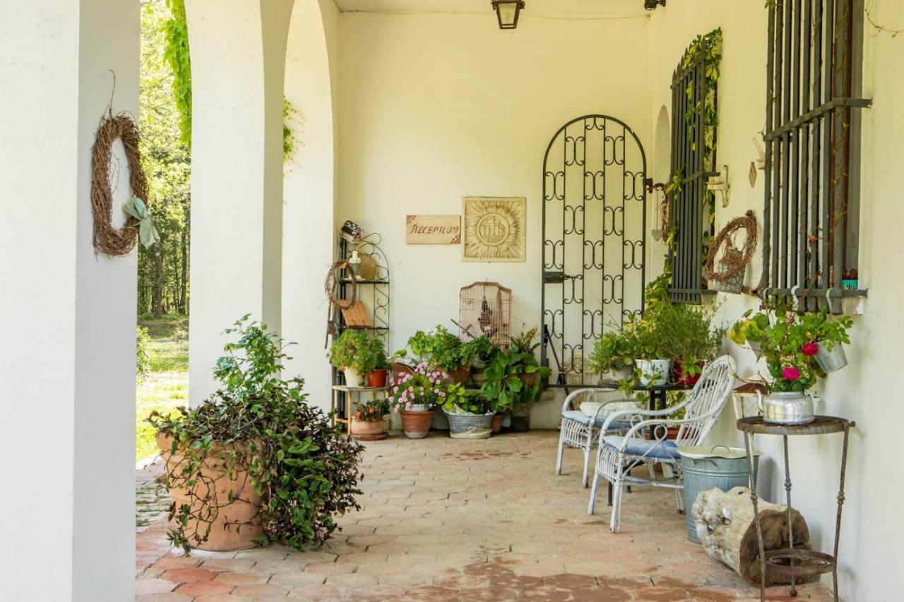 Villa Albertina Монтеспертоли Екстериор снимка